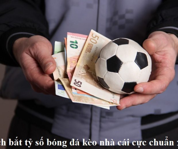 cach-bat-ty-so-bong-da-keo-nha-cai-cuc-chuan-xac
