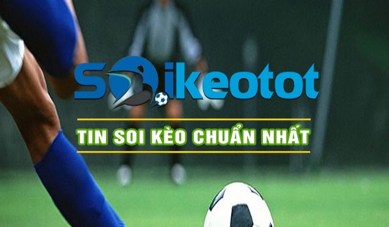 Xem world cup khu vực châu mỹ tại Soikeo Tot có gì hay?
