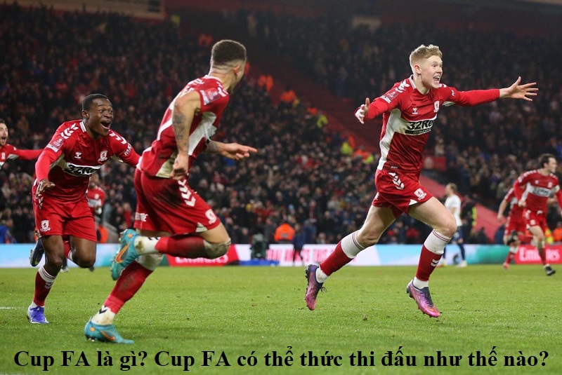 cup-fa-la-gi-cup-fa-co-the-thuc-thi-dau-nhu-the-nao